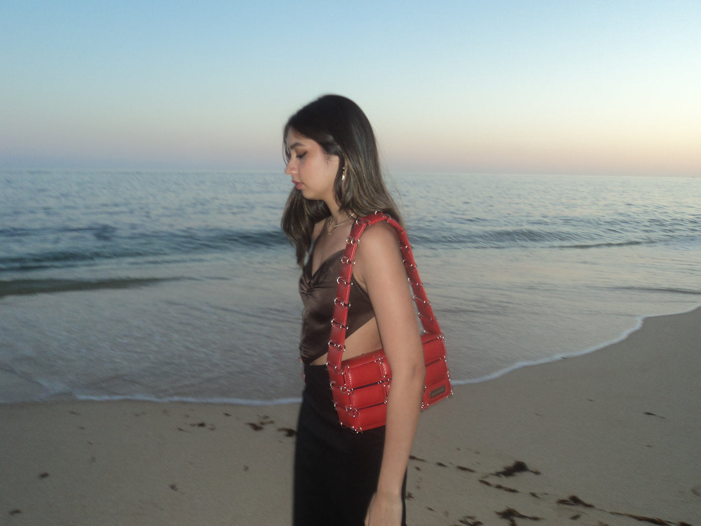 Cherry Puff Bag